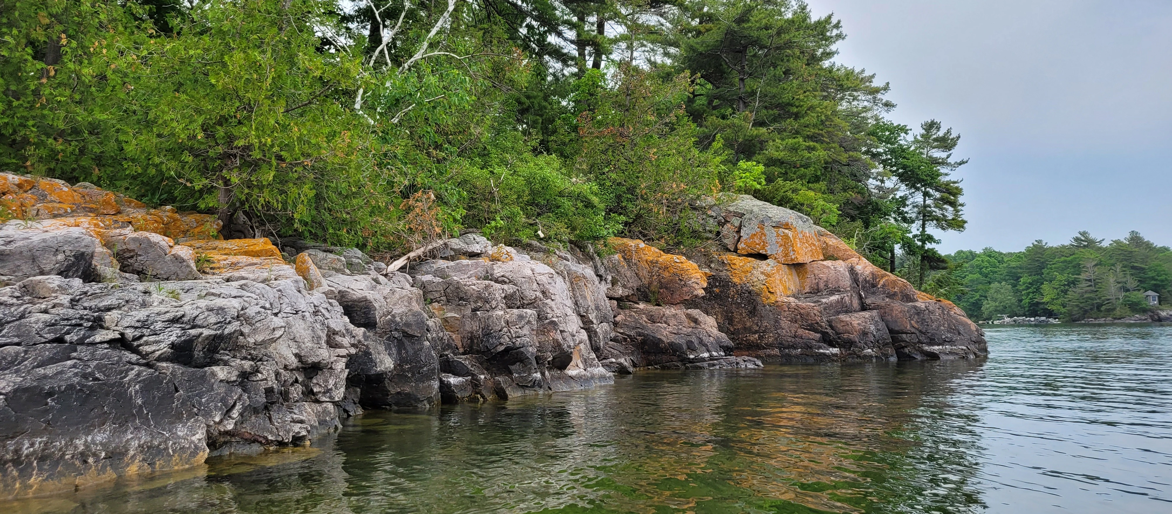 A nature scene of rocks, trees and water on a kayak trip in the Thousand Islands in Ontario Canada